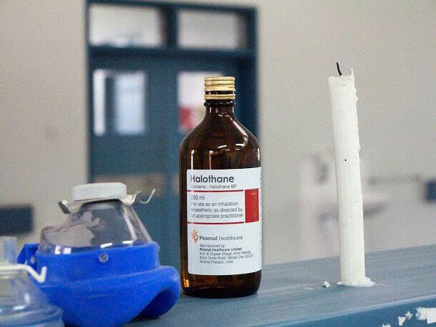 Thuốc mê y tế Halothane cực mạnh